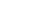 GOODMAN-2